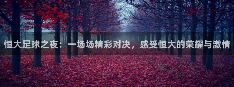 恒大足球之夜：一场场精彩对决，感受恒大的荣耀与激情