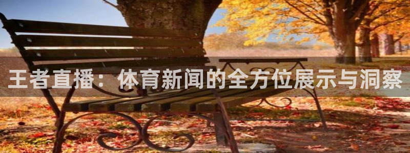王者直播：体育新闻的全方位展示与洞察