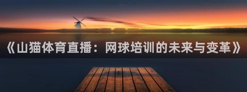 《山猫体育直播：网球培训的未来与变革》