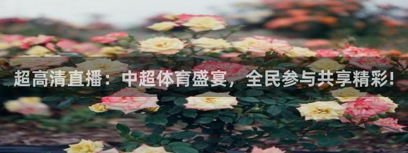 超高清直播：中超体育盛宴，全民参与共享精彩!