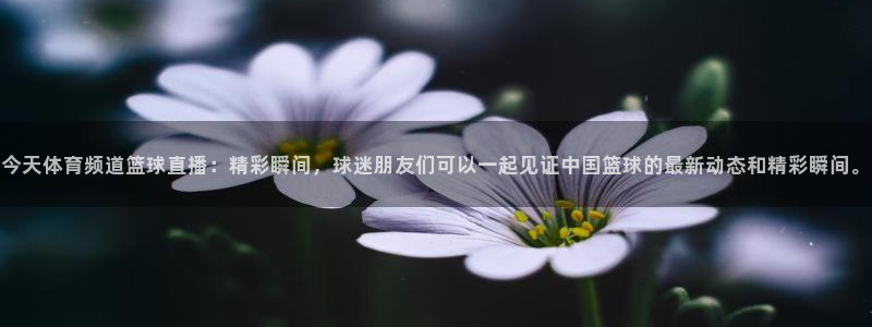 今天体育频道篮球直播：精彩瞬间，球迷朋友们可以一起见证中国篮球的最新动态和精彩瞬间。